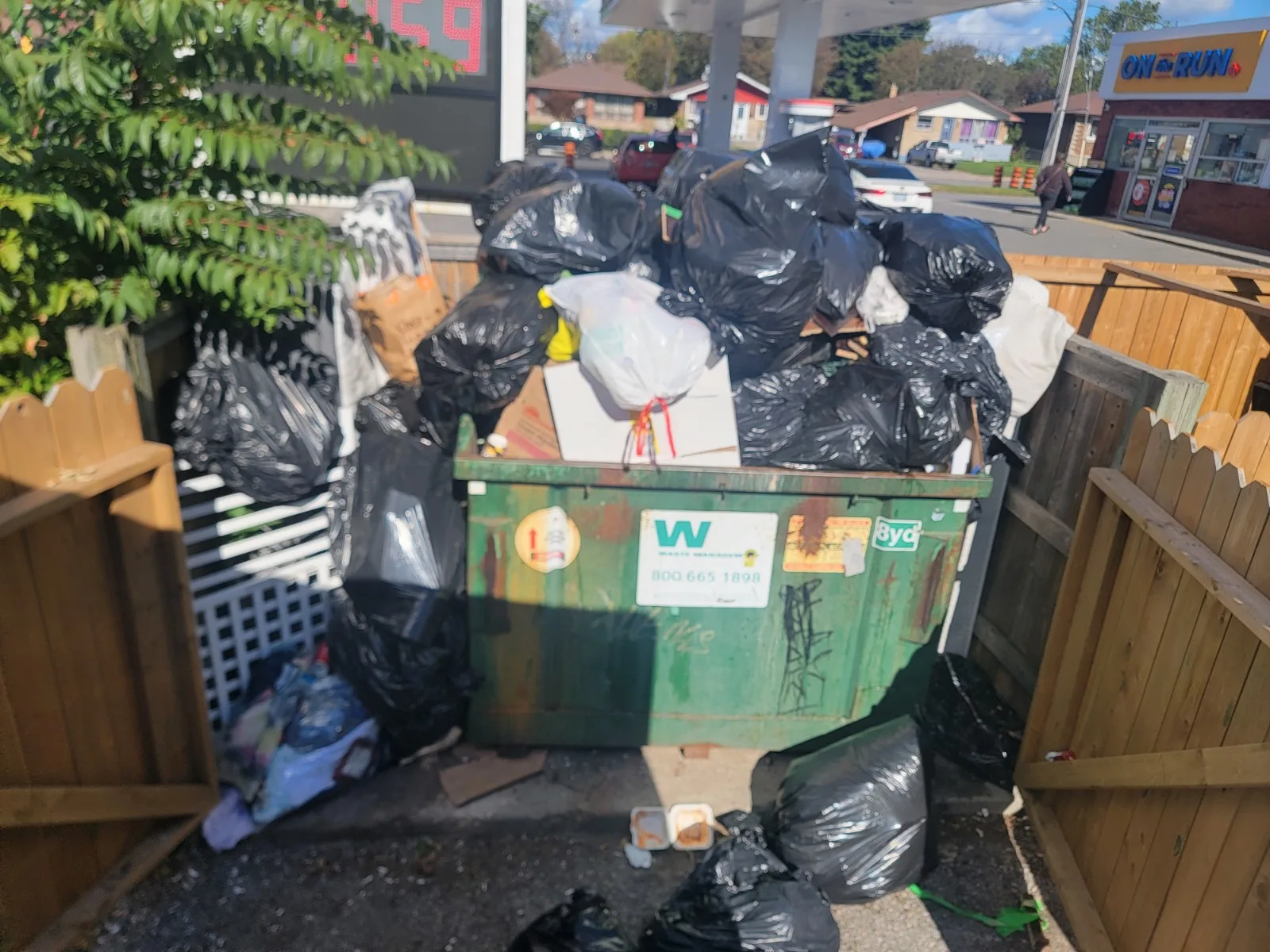 Before — Oshawa Ilegal dumping cleanup in Oshawa